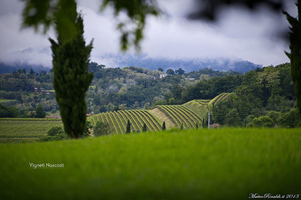 Wine & Lake In Franciacorta 파시라노 외부 사진