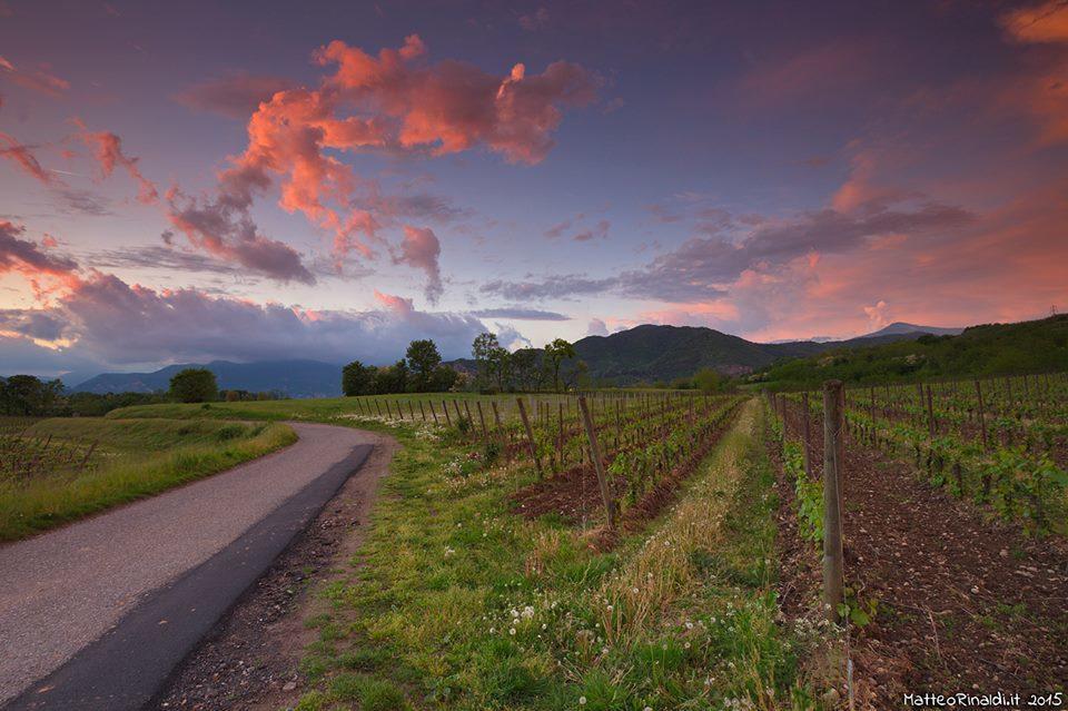 Wine & Lake In Franciacorta 파시라노 외부 사진