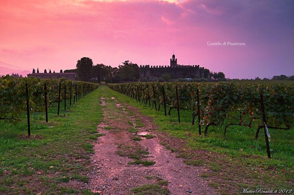 Wine & Lake In Franciacorta 파시라노 외부 사진