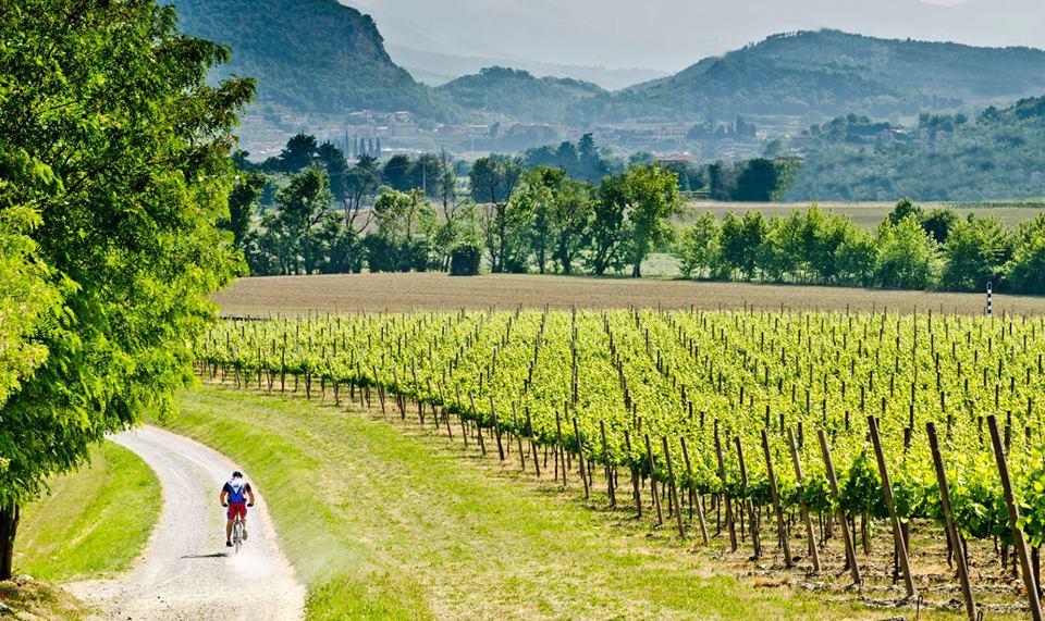 Wine & Lake In Franciacorta 파시라노 외부 사진
